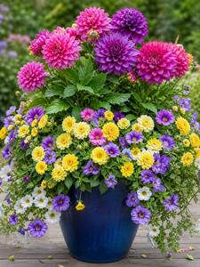 Sun May 17  Delightful Dahlias 260517131